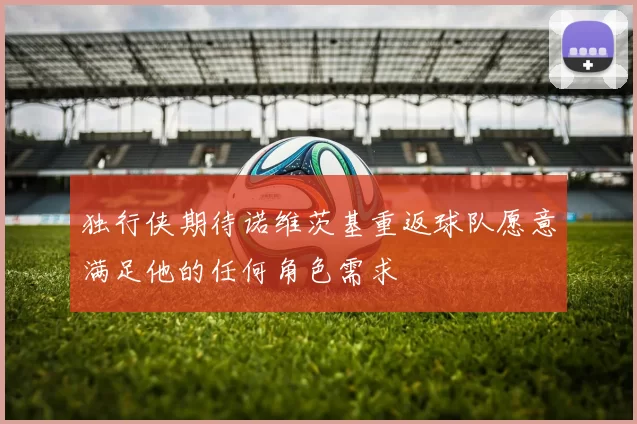 独行侠期待诺维茨基重返球队愿意满足他的任何角色需求