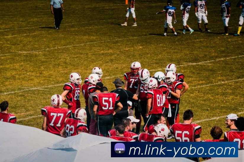 友博体育APP 封面图